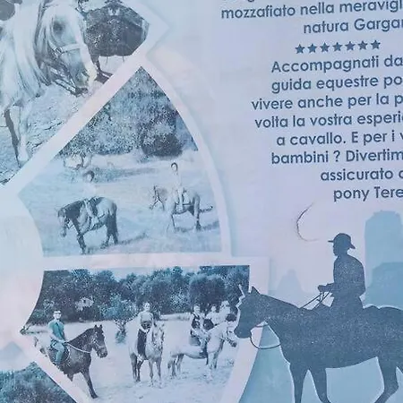 Ferienhaus Amazing Gargano Ischitella